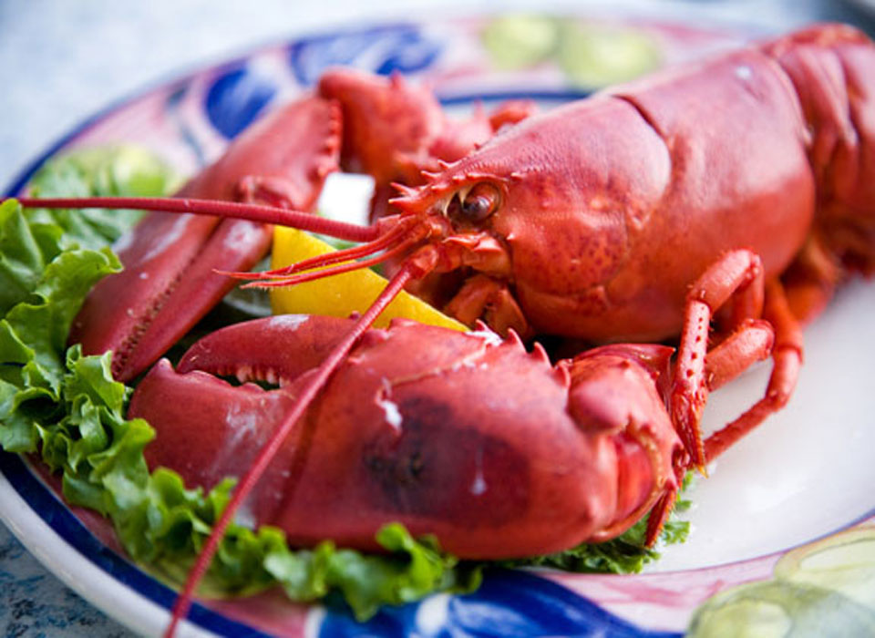 Fresh Nova Scotia Lobster Dinner - delivered right to your door!